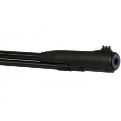 Gamo CFX Royal