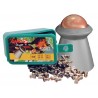 Balines Gamo Rocket 5,5 mm 100 ud