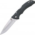 Buck Large Lightweight Lockback