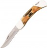 Bear & Son Folding Hunter Stag Bone