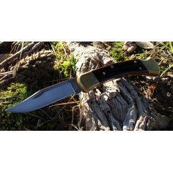 Buck Folding Hunter